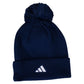 Pom Beanie